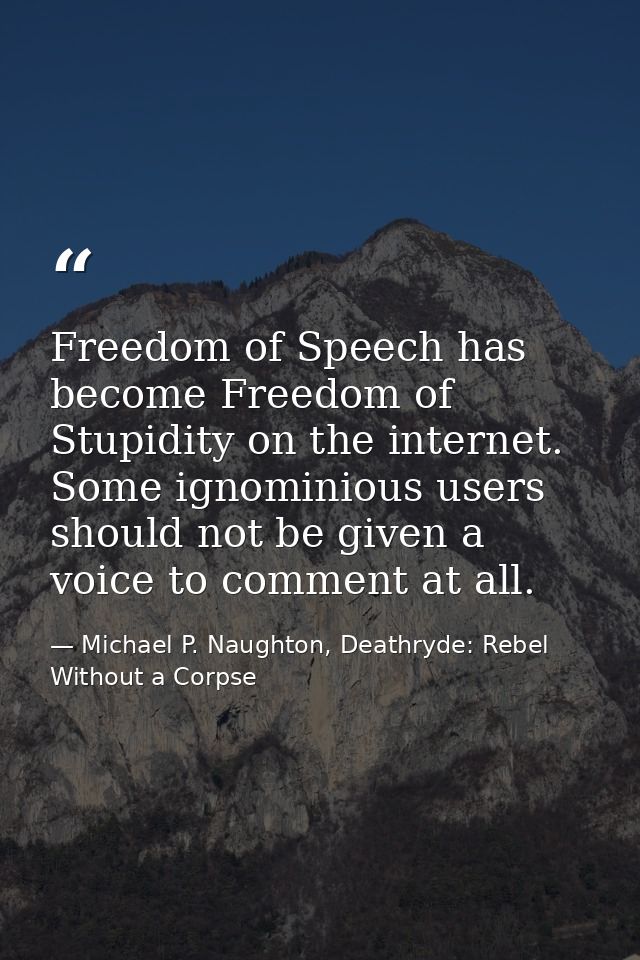 Freedom of Speech has become Freedom of Stupidity on the internet. Some ignominious users should not be given a voice to — Michael P. Naughton, Deathryde: Rebel Without a Corpse