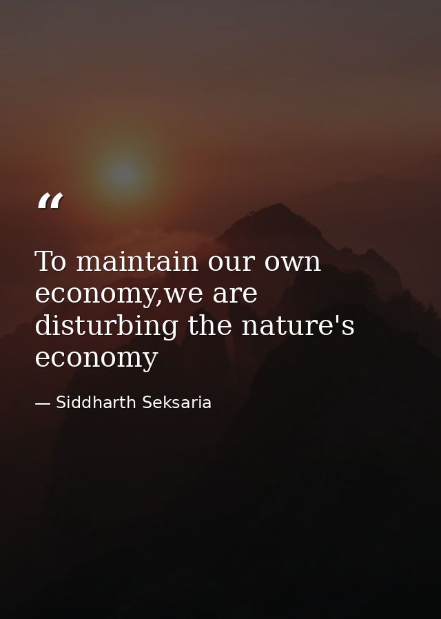 To maintain our own economy,we are disturbing the nature's economy — Siddharth Seksaria
