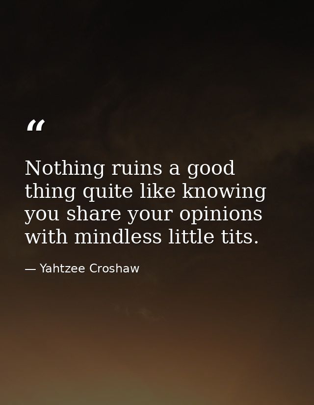 Nothing ruins a good thing quite like knowing you share your opinions with mindless little tits. — Yahtzee Croshaw