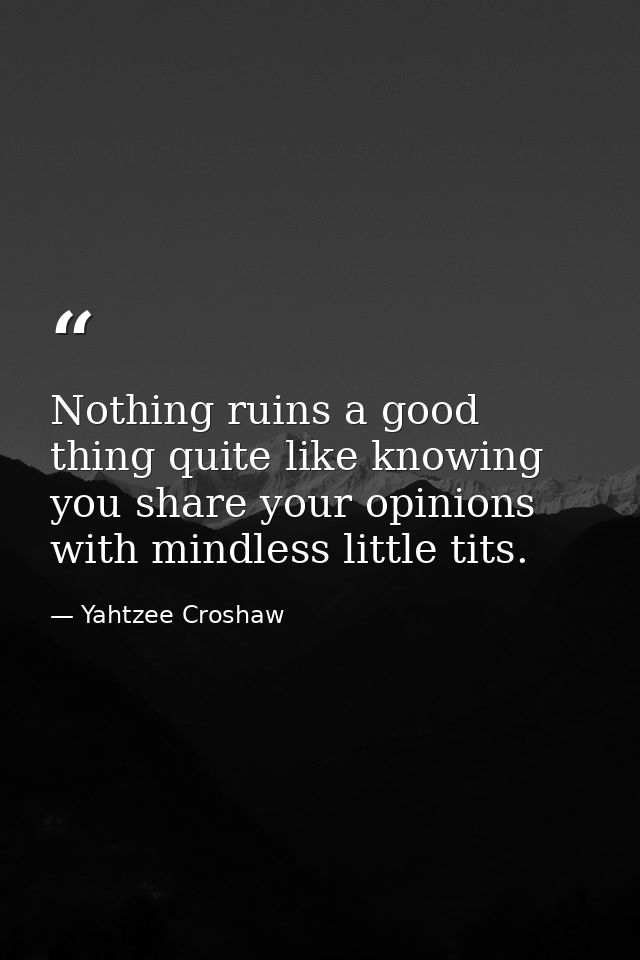 Nothing ruins a good thing quite like knowing you share your opinions with mindless little tits. — Yahtzee Croshaw