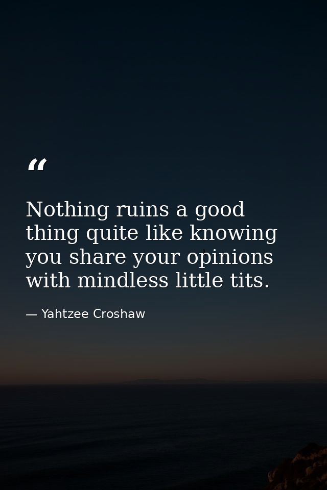 Nothing ruins a good thing quite like knowing you share your opinions with mindless little tits. — Yahtzee Croshaw