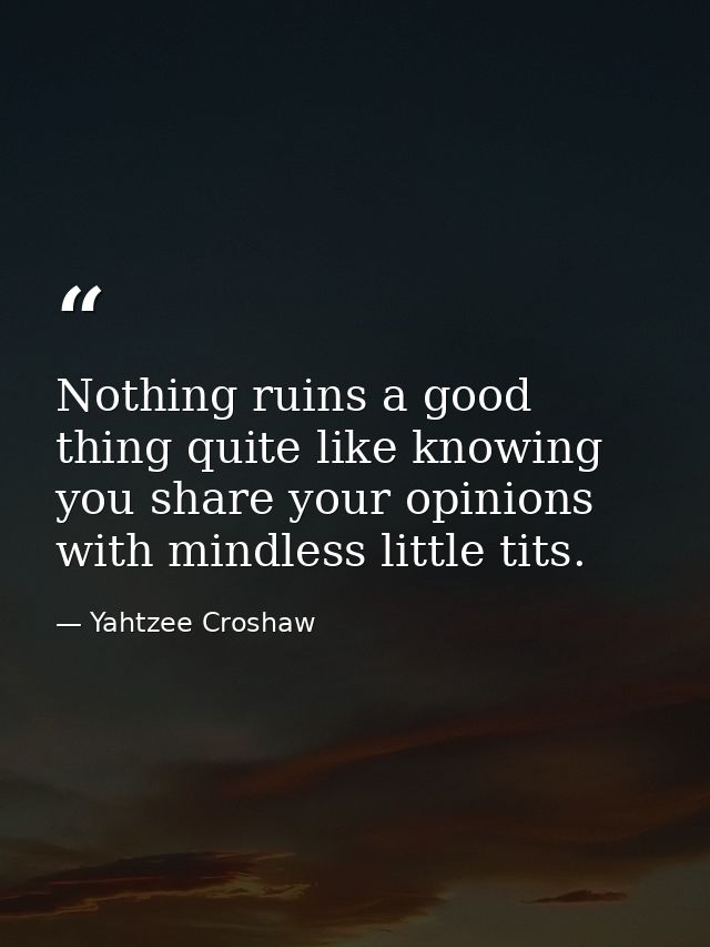 Nothing ruins a good thing quite like knowing you share your opinions with mindless little tits. — Yahtzee Croshaw