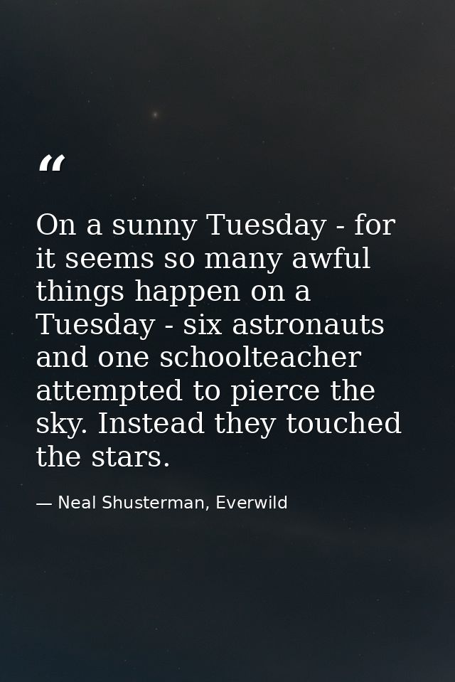 On a sunny Tuesday - for it seems so many awful things happen on a Tuesday - six astronauts and one schoolteacher attemp — Neal Shusterman, Everwild