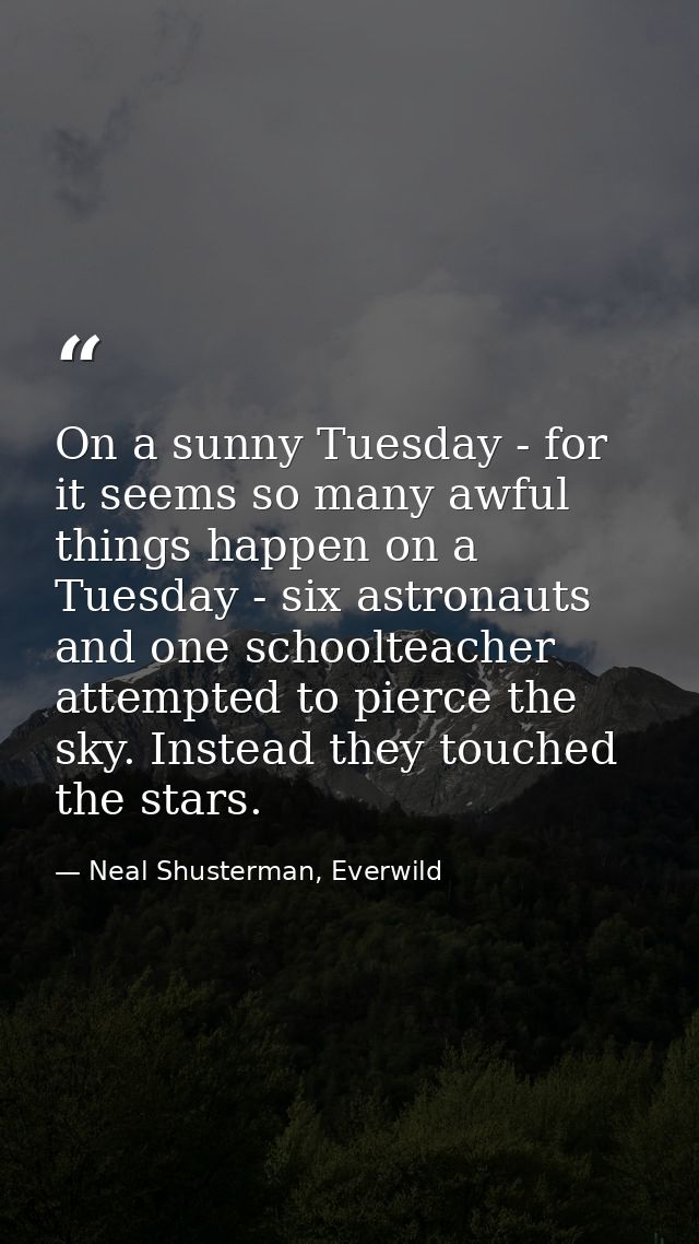 On a sunny Tuesday - for it seems so many awful things happen on a Tuesday - six astronauts and one schoolteacher attemp — Neal Shusterman, Everwild