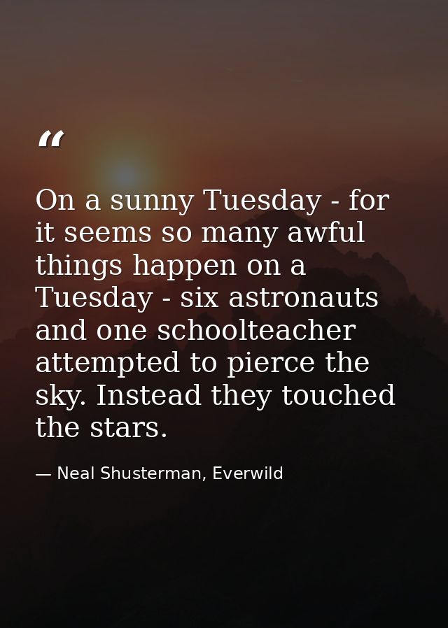 On a sunny Tuesday - for it seems so many awful things happen on a Tuesday - six astronauts and one schoolteacher attemp — Neal Shusterman, Everwild