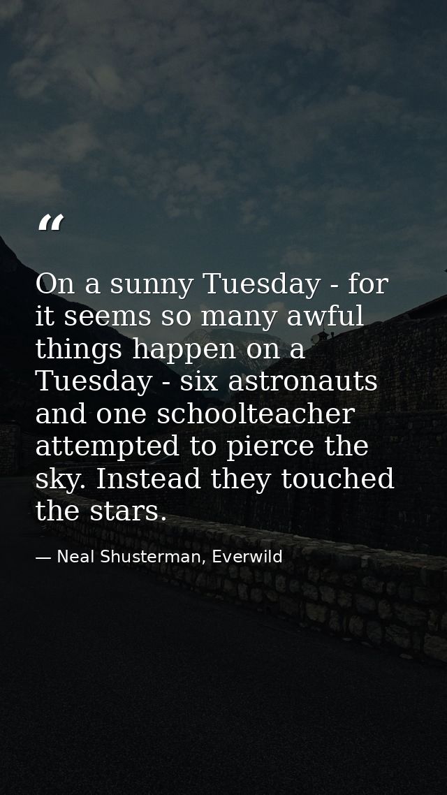 On a sunny Tuesday - for it seems so many awful things happen on a Tuesday - six astronauts and one schoolteacher attemp — Neal Shusterman, Everwild