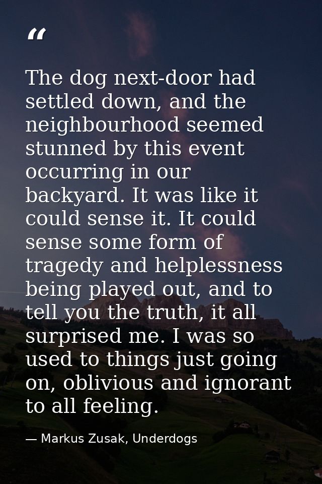 The dog next-door had settled down, and the neighbourhood seemed stunned by this event occurring in our backyard. It was — Markus Zusak, Underdogs