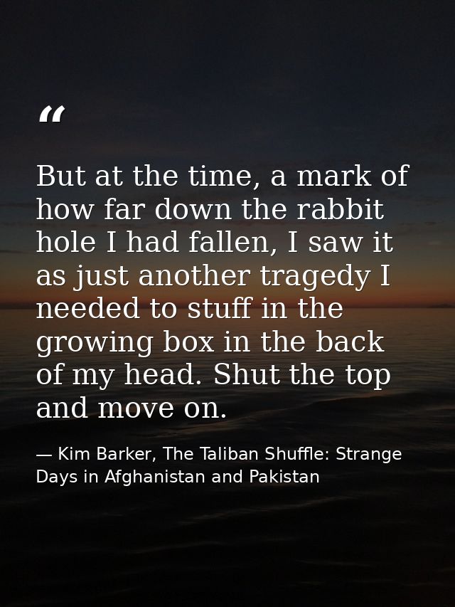 But at the time, a mark of how far down the rabbit hole I had fallen, I saw it as just another tragedy I needed to stuff — Kim Barker, The Taliban Shuffle: Strange Days in Afghanistan and Pakistan