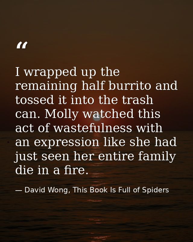 I wrapped up the remaining half burrito and tossed it into the trash can. Molly watched this act of wastefulness with an — David Wong, This Book Is Full of Spiders