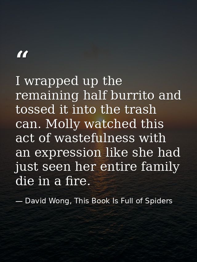 I wrapped up the remaining half burrito and tossed it into the trash can. Molly watched this act of wastefulness with an — David Wong, This Book Is Full of Spiders