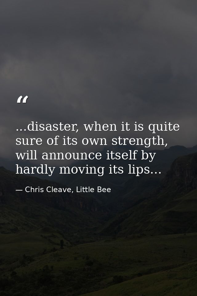 ...disaster, when it is quite sure of its own strength, will announce itself by hardly moving its lips... — Chris Cleave, Little Bee