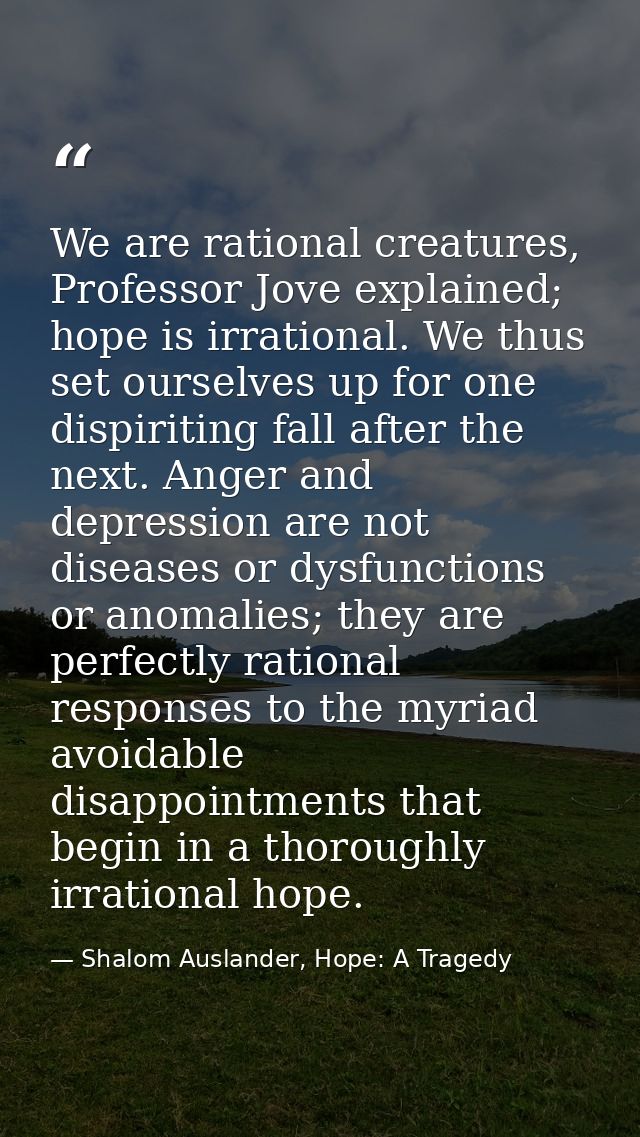 We are rational creatures, Professor Jove explained; hope is irrational. We thus set ourselves up for one dispiriting fa — Shalom Auslander, Hope: A Tragedy