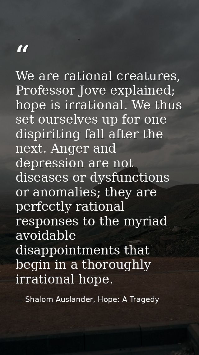 We are rational creatures, Professor Jove explained; hope is irrational. We thus set ourselves up for one dispiriting fa — Shalom Auslander, Hope: A Tragedy
