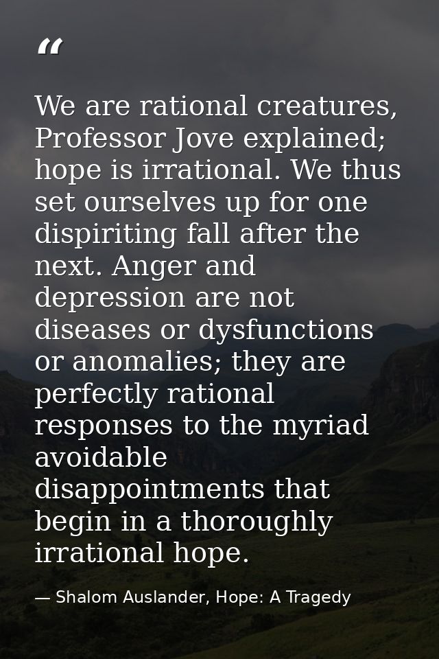 We are rational creatures, Professor Jove explained; hope is irrational. We thus set ourselves up for one dispiriting fa — Shalom Auslander, Hope: A Tragedy