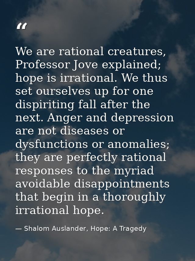 We are rational creatures, Professor Jove explained; hope is irrational. We thus set ourselves up for one dispiriting fa — Shalom Auslander, Hope: A Tragedy