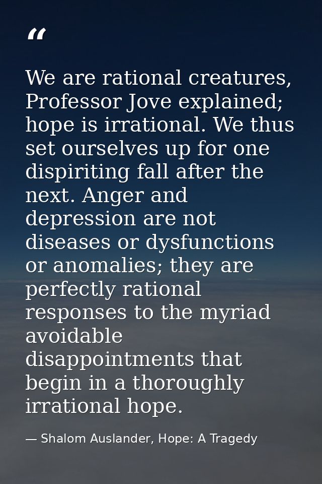 We are rational creatures, Professor Jove explained; hope is irrational. We thus set ourselves up for one dispiriting fa — Shalom Auslander, Hope: A Tragedy