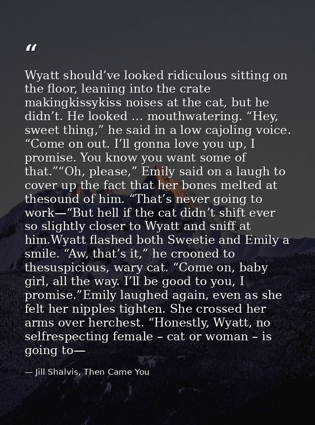 Wyatt should’ve looked ridiculous sitting on the floor, leaning into the crate makingkissykiss noises at the cat, but he — Jill Shalvis, Then Came You