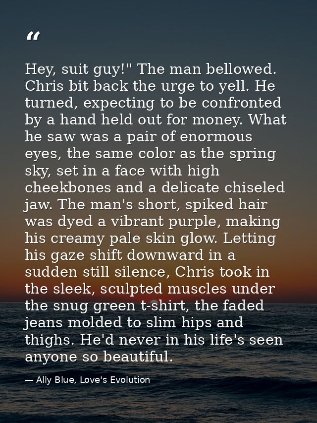 Hey, suit guy!" The man bellowed. Chris bit back the urge to yell. He turned, expecting to be confronted by a hand held  — Ally Blue, Love's Evolution