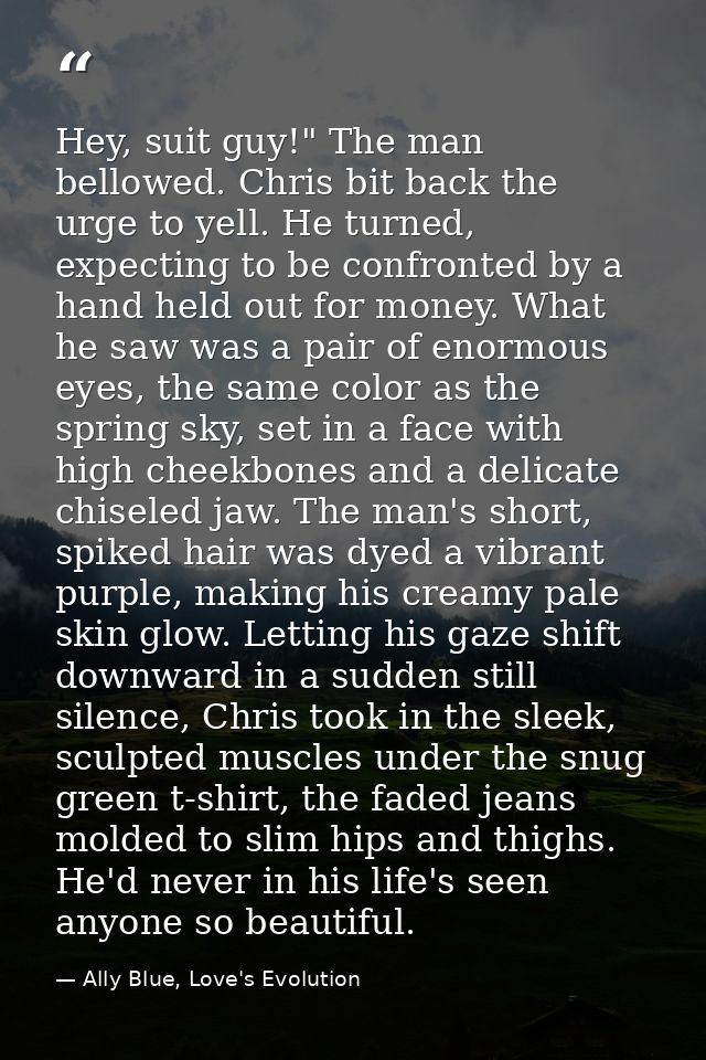 Hey, suit guy!" The man bellowed. Chris bit back the urge to yell. He turned, expecting to be confronted by a hand held  — Ally Blue, Love's Evolution