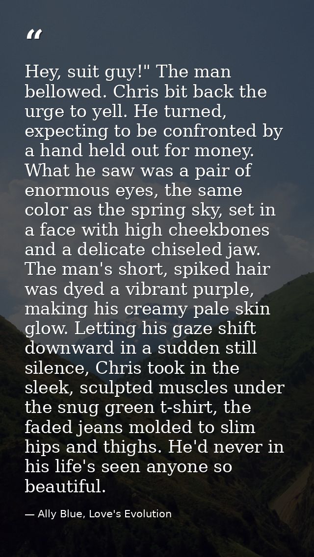 Hey, suit guy!" The man bellowed. Chris bit back the urge to yell. He turned, expecting to be confronted by a hand held  — Ally Blue, Love's Evolution