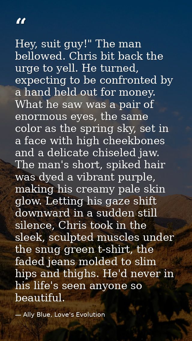 Hey, suit guy!" The man bellowed. Chris bit back the urge to yell. He turned, expecting to be confronted by a hand held  — Ally Blue, Love's Evolution