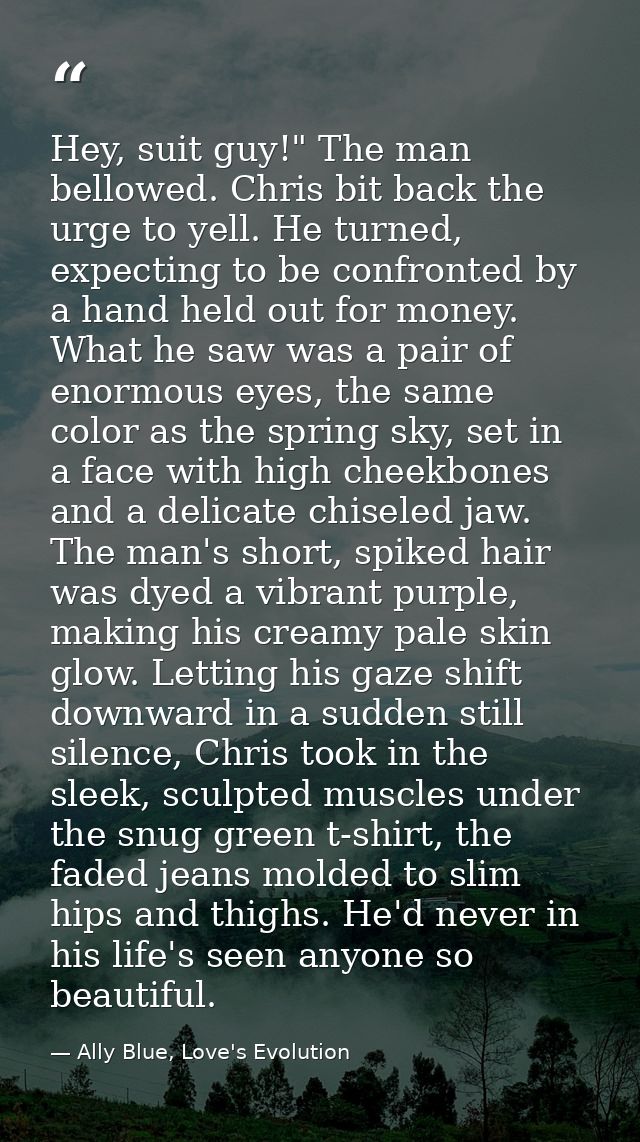 Hey, suit guy!" The man bellowed. Chris bit back the urge to yell. He turned, expecting to be confronted by a hand held  — Ally Blue, Love's Evolution