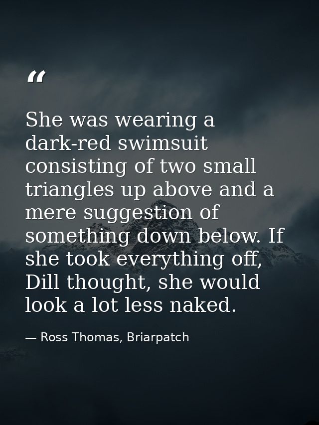 She was wearing a dark-red swimsuit consisting of two small triangles up above and a mere suggestion of something down b — Ross Thomas, Briarpatch