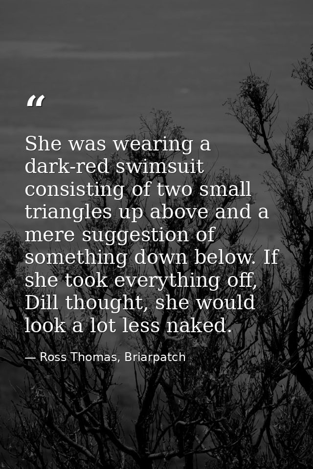 She was wearing a dark-red swimsuit consisting of two small triangles up above and a mere suggestion of something down b — Ross Thomas, Briarpatch