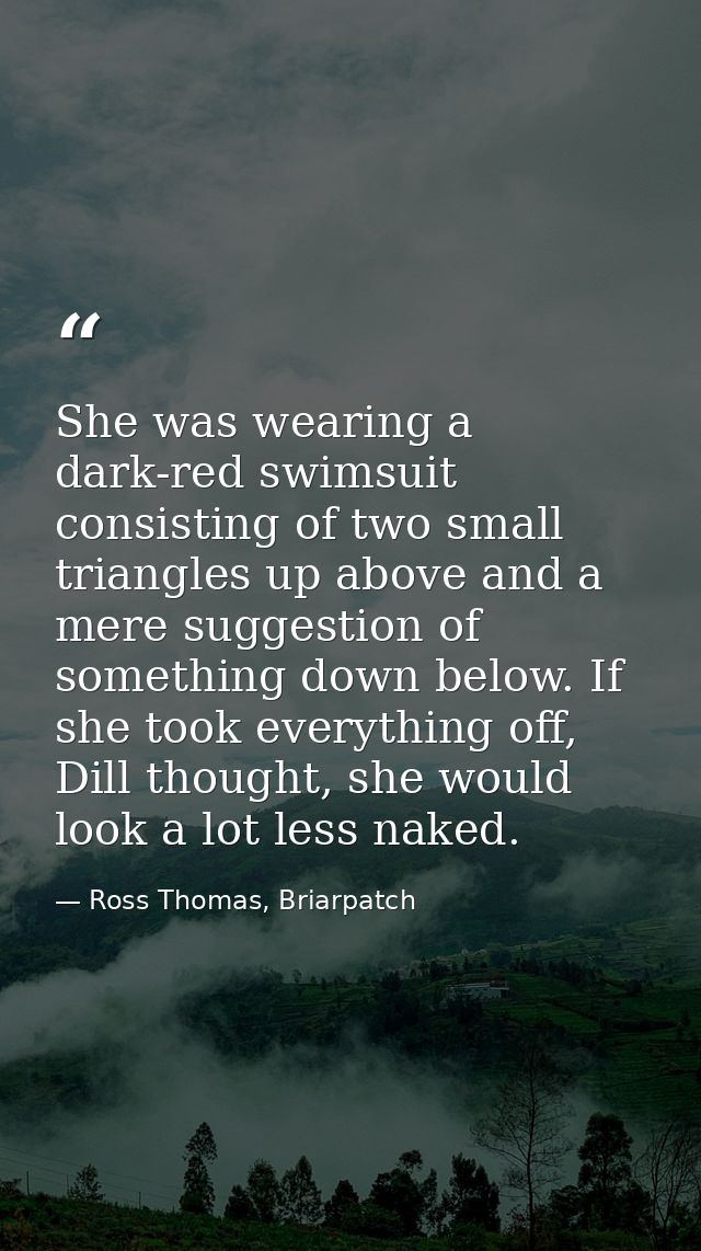 She was wearing a dark-red swimsuit consisting of two small triangles up above and a mere suggestion of something down b — Ross Thomas, Briarpatch