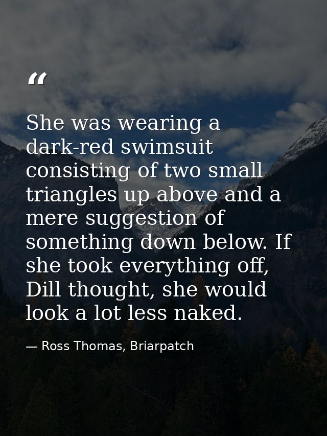 She was wearing a dark-red swimsuit consisting of two small triangles up above and a mere suggestion of something down b — Ross Thomas, Briarpatch