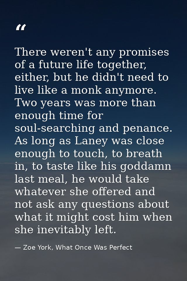 There weren't any promises of a future life together, either, but he didn't need to live like a monk anymore. Two years  — Zoe York, What Once Was Perfect