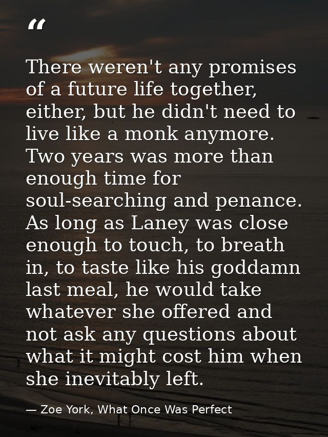 There weren't any promises of a future life together, either, but he didn't need to live like a monk anymore. Two years  — Zoe York, What Once Was Perfect
