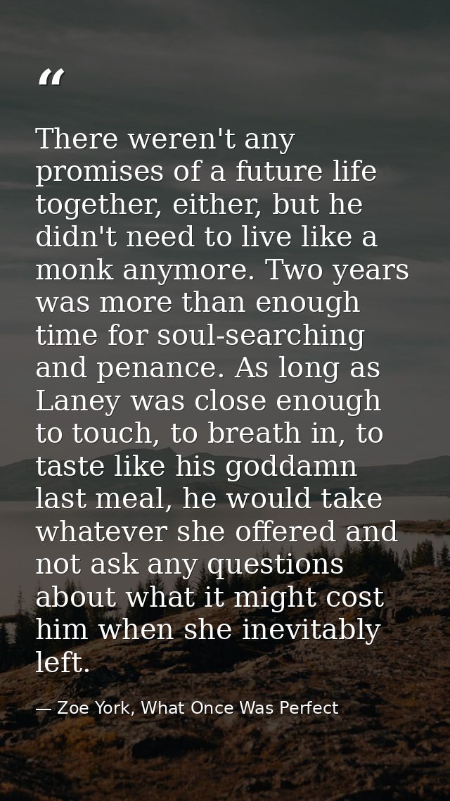 There weren't any promises of a future life together, either, but he didn't need to live like a monk anymore. Two years  — Zoe York, What Once Was Perfect