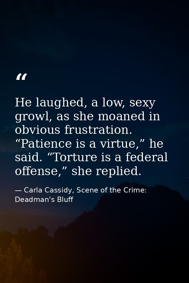 He laughed, a low, sexy growl, as she moaned in obvious frustration. “Patience is a virtue,” he said. “Torture is a fede — Carla Cassidy, Scene of the Crime: Deadman's Bluff