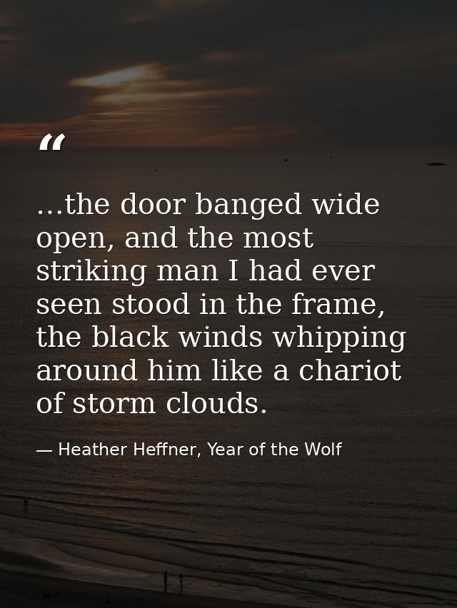 …the door banged wide open, and the most striking man I had ever seen stood in the frame, the black winds whipping aroun — Heather Heffner, Year of the Wolf