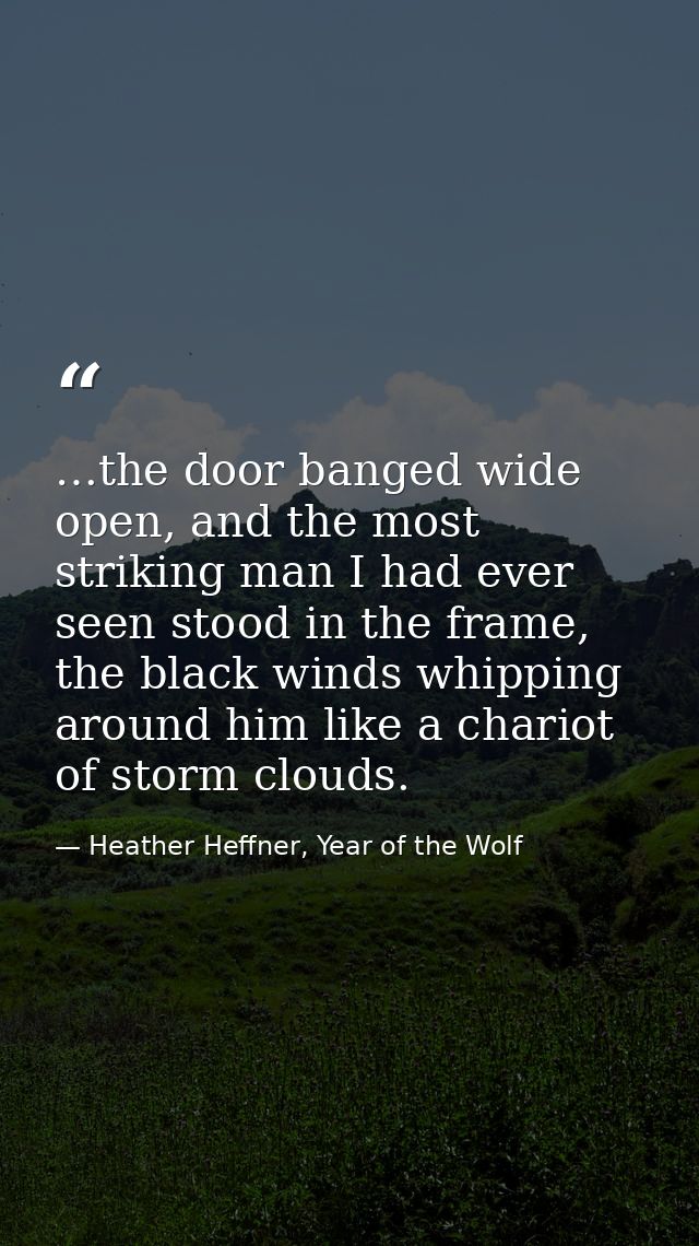 …the door banged wide open, and the most striking man I had ever seen stood in the frame, the black winds whipping aroun — Heather Heffner, Year of the Wolf