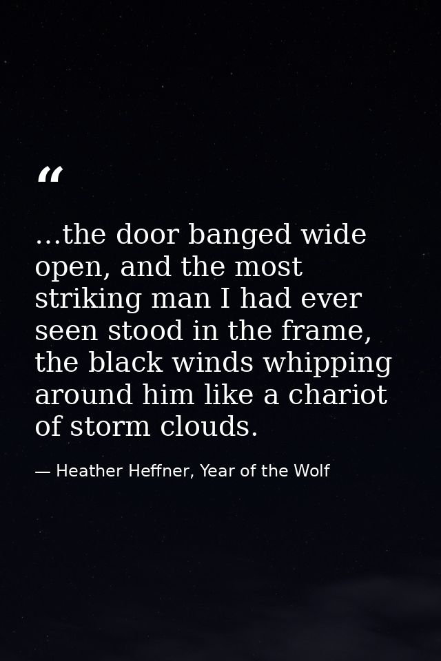 …the door banged wide open, and the most striking man I had ever seen stood in the frame, the black winds whipping aroun — Heather Heffner, Year of the Wolf