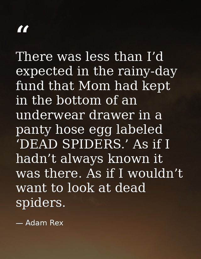 There was less than I’d expected in the rainy-day fund that Mom had kept in the bottom of an underwear drawer in a panty — Adam Rex