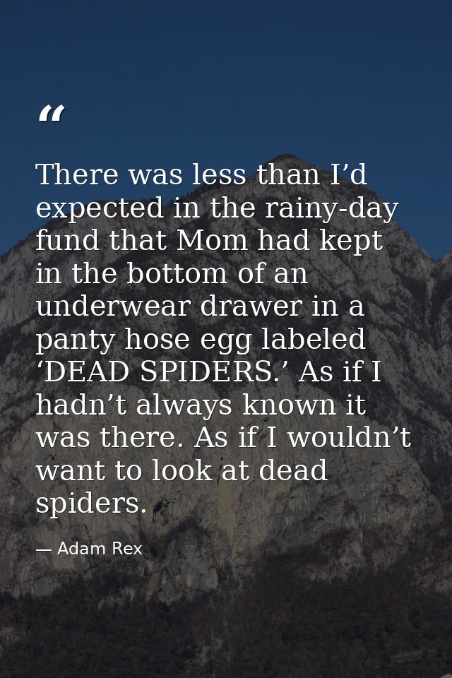 There was less than I’d expected in the rainy-day fund that Mom had kept in the bottom of an underwear drawer in a panty — Adam Rex