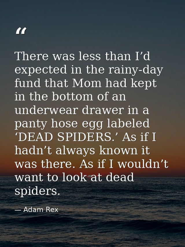 There was less than I’d expected in the rainy-day fund that Mom had kept in the bottom of an underwear drawer in a panty — Adam Rex