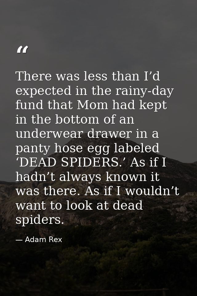 There was less than I’d expected in the rainy-day fund that Mom had kept in the bottom of an underwear drawer in a panty — Adam Rex