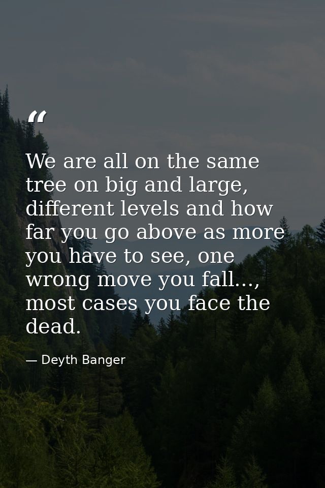 We are all on the same tree on big and large, different levels and how far you go above as more you have to see, one wro — Deyth Banger