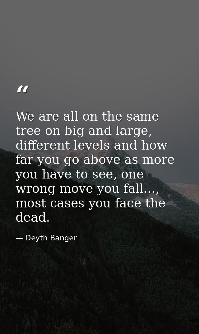 We are all on the same tree on big and large, different levels and how far you go above as more you have to see, one wro — Deyth Banger