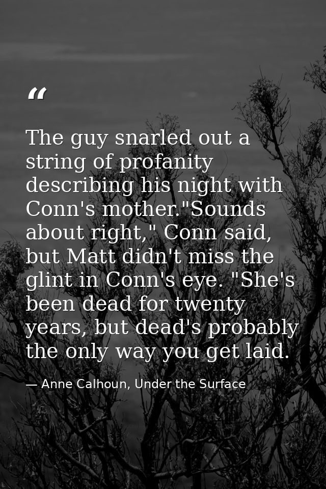 The guy snarled out a string of profanity describing his night with Conn's mother."Sounds about right," Conn said, but M — Anne Calhoun, Under the Surface