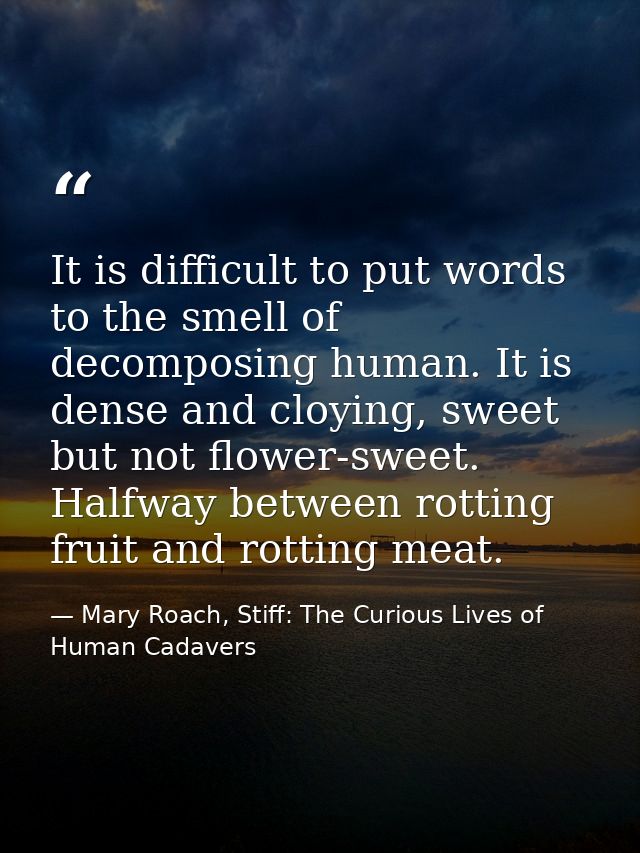 It is difficult to put words to the smell of decomposing human. It is dense and cloying, sweet but not flower-sweet. Hal — Mary Roach, Stiff: The Curious Lives of Human Cadavers