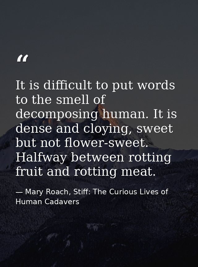 It is difficult to put words to the smell of decomposing human. It is dense and cloying, sweet but not flower-sweet. Hal — Mary Roach, Stiff: The Curious Lives of Human Cadavers