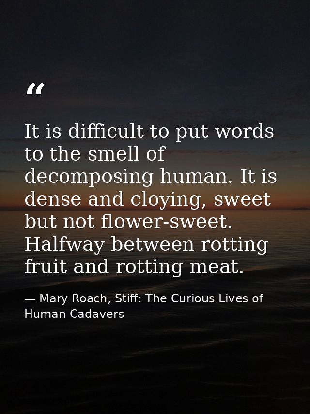 It is difficult to put words to the smell of decomposing human. It is dense and cloying, sweet but not flower-sweet. Hal — Mary Roach, Stiff: The Curious Lives of Human Cadavers