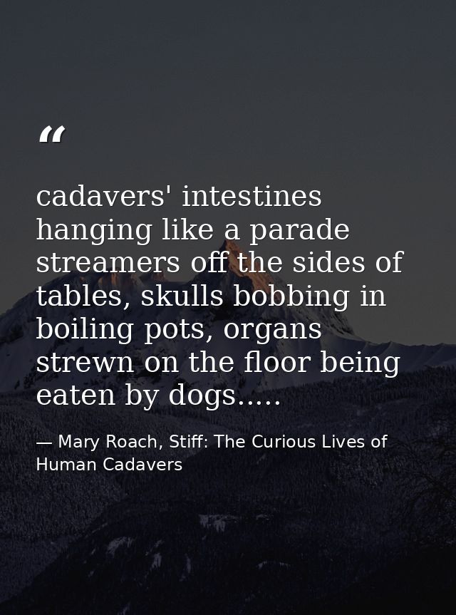 cadavers' intestines hanging like a parade streamers off the sides of tables, skulls bobbing in boiling pots, organs str — Mary Roach, Stiff: The Curious Lives of Human Cadavers