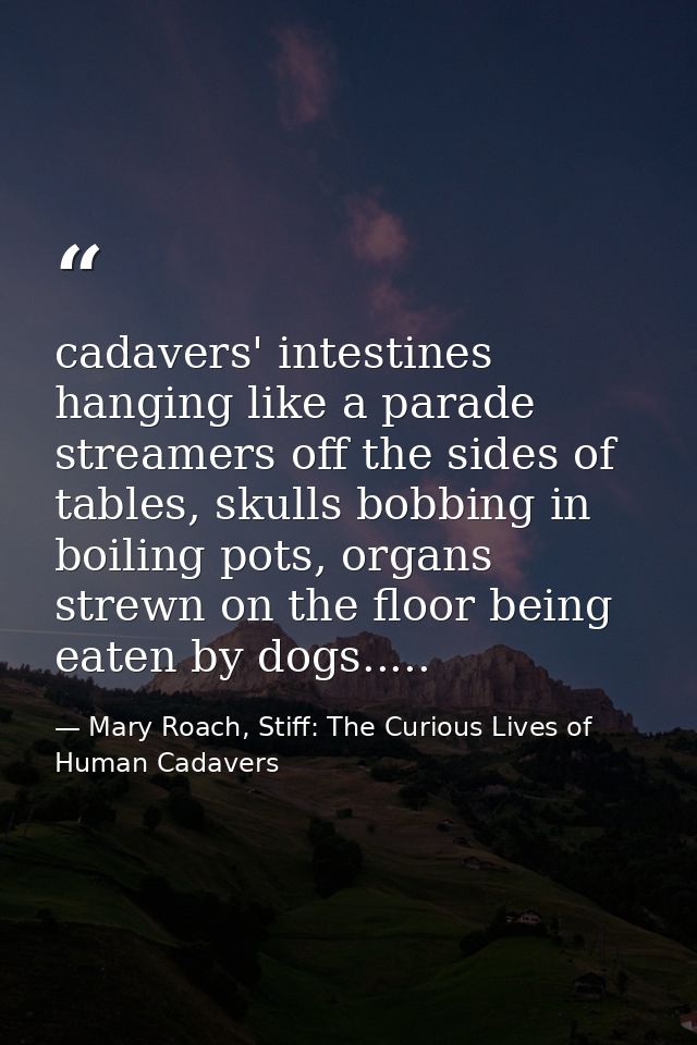 cadavers' intestines hanging like a parade streamers off the sides of tables, skulls bobbing in boiling pots, organs str — Mary Roach, Stiff: The Curious Lives of Human Cadavers