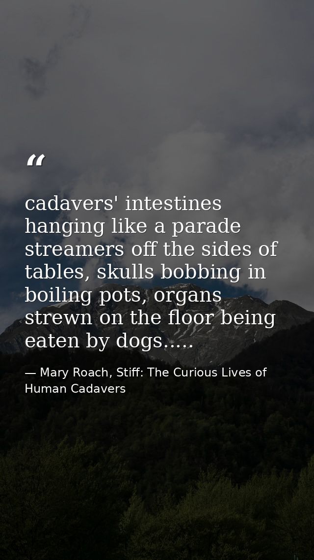 cadavers' intestines hanging like a parade streamers off the sides of tables, skulls bobbing in boiling pots, organs str — Mary Roach, Stiff: The Curious Lives of Human Cadavers